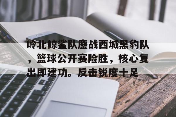 开元棋牌入口-岭北鲸鲨队鏖战西城黑豹队，篮球公开赛险胜，核心复出即建功。反击锐度十足的简单介绍